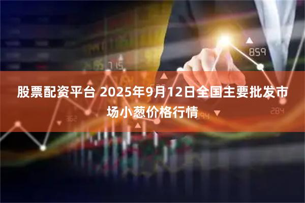 股票配资平台 2025年9月12日全国主要批发市场小葱价格行情