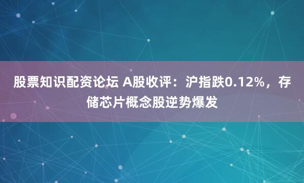 股票知识配资论坛 A股收评：沪指跌0.12%，存储芯片概念股逆势爆发