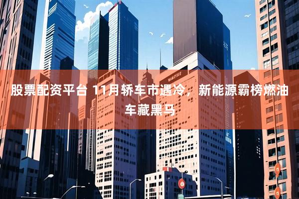 股票配资平台 11月轿车市遇冷,新能源霸榜燃油车藏黑马