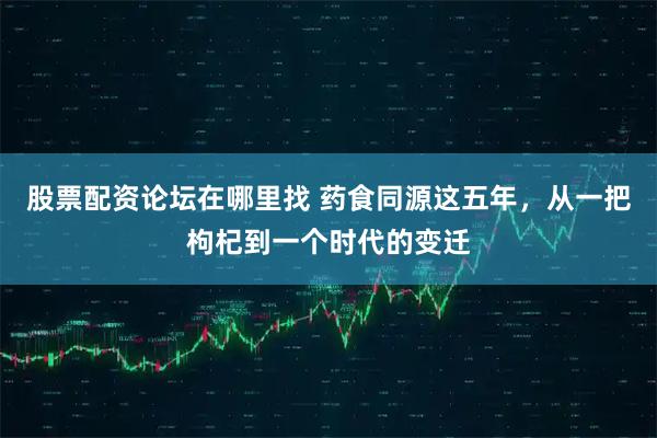 股票配资论坛在哪里找 药食同源这五年，从一把枸杞到一个时代的变迁