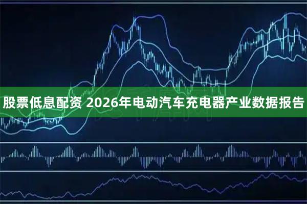 股票低息配资 2026年电动汽车充电器产业数据报告